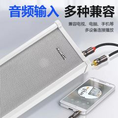 现代50W防水音柱HY882