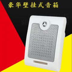 壁挂音箱 KD-702C